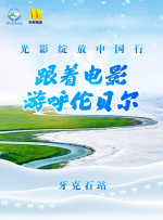 91视频官网